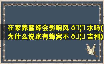 在家养蜜蜂会影响风 🦁 水吗(为什么说家有蜂窝不 🦍 吉利)
